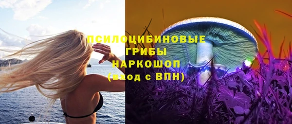 МДПВ Абинск