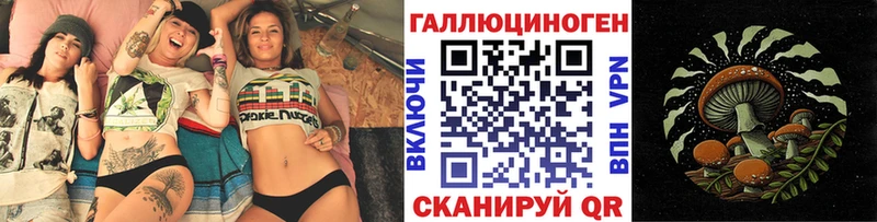 Псилоцибиновые грибы Psilocybe  Каменногорск 