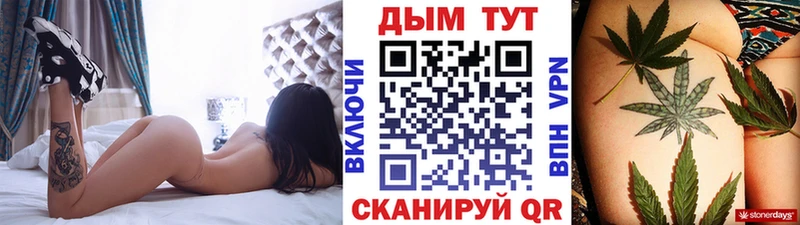 купить закладку Каменногорск Шишки марихуана конопля